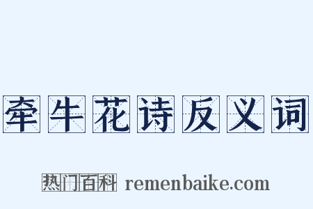 牵牛花诗反义词是什么意思的图片